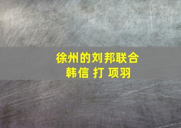 徐州的刘邦联合 韩信 打 项羽